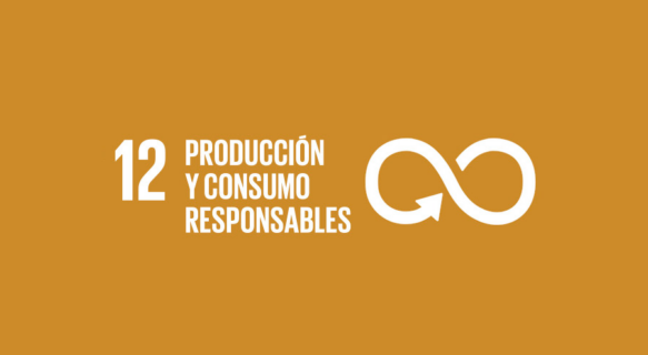Consumo responsable
